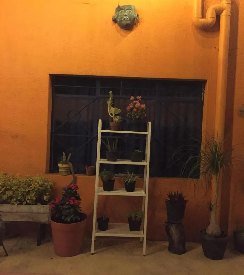 Casa Nangpa And Hostel Guadalajara 0*,  Mexikó