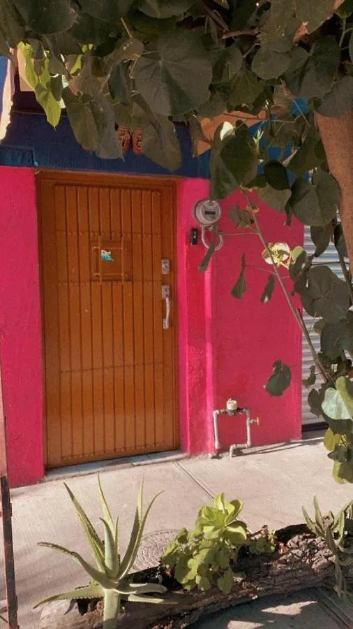 Casa Nangpa And Hostel Guadalajara Messico